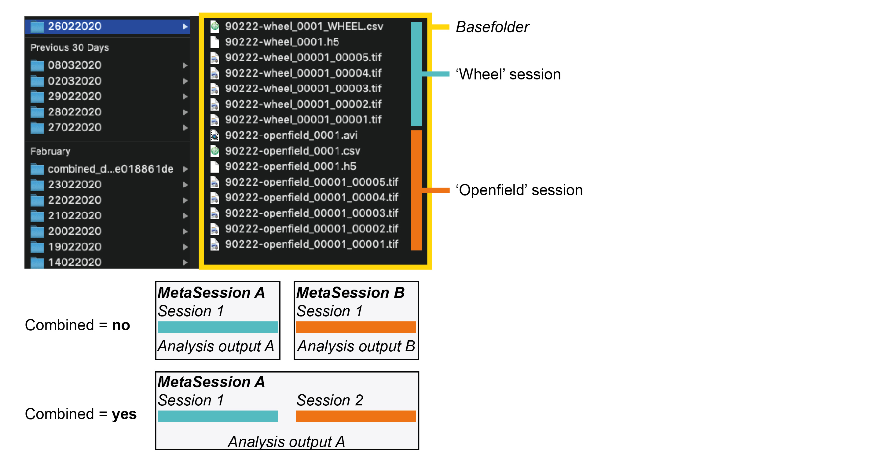 Combined session Suite2p analysis logic